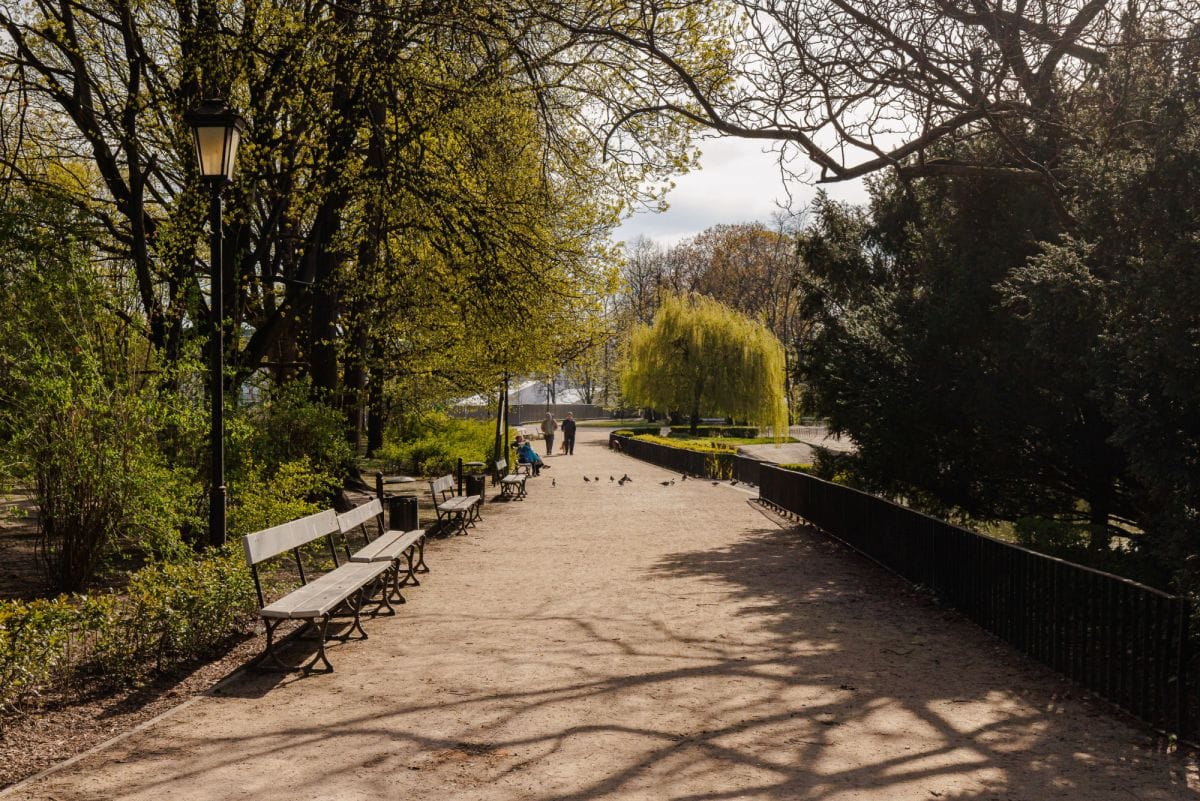 Mieszkanie 3 pokojowe na Wynajem