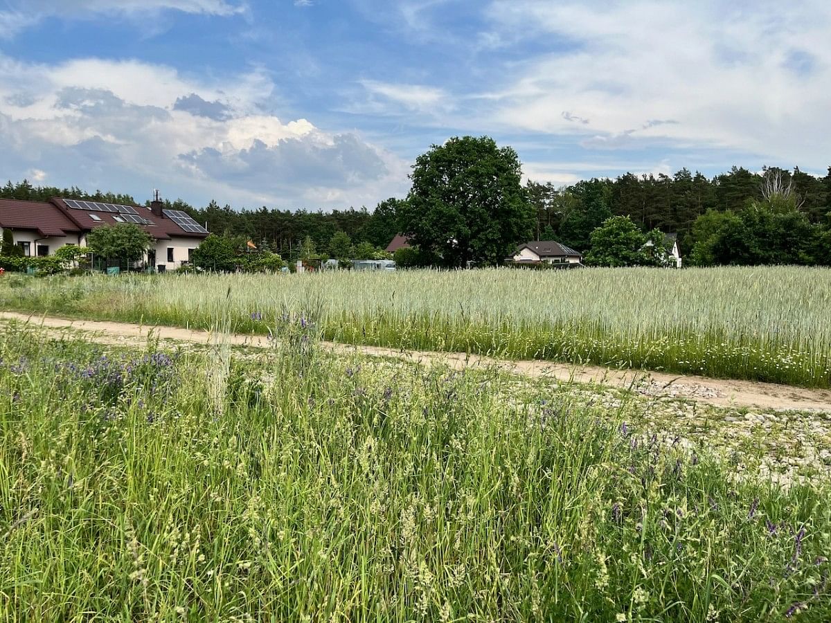 Działka  pokojowe na Sprzedaż