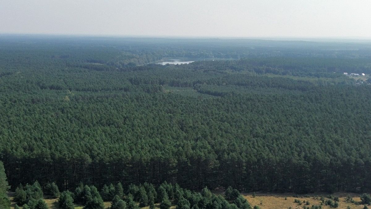 Działka  pokojowe na Sprzedaż