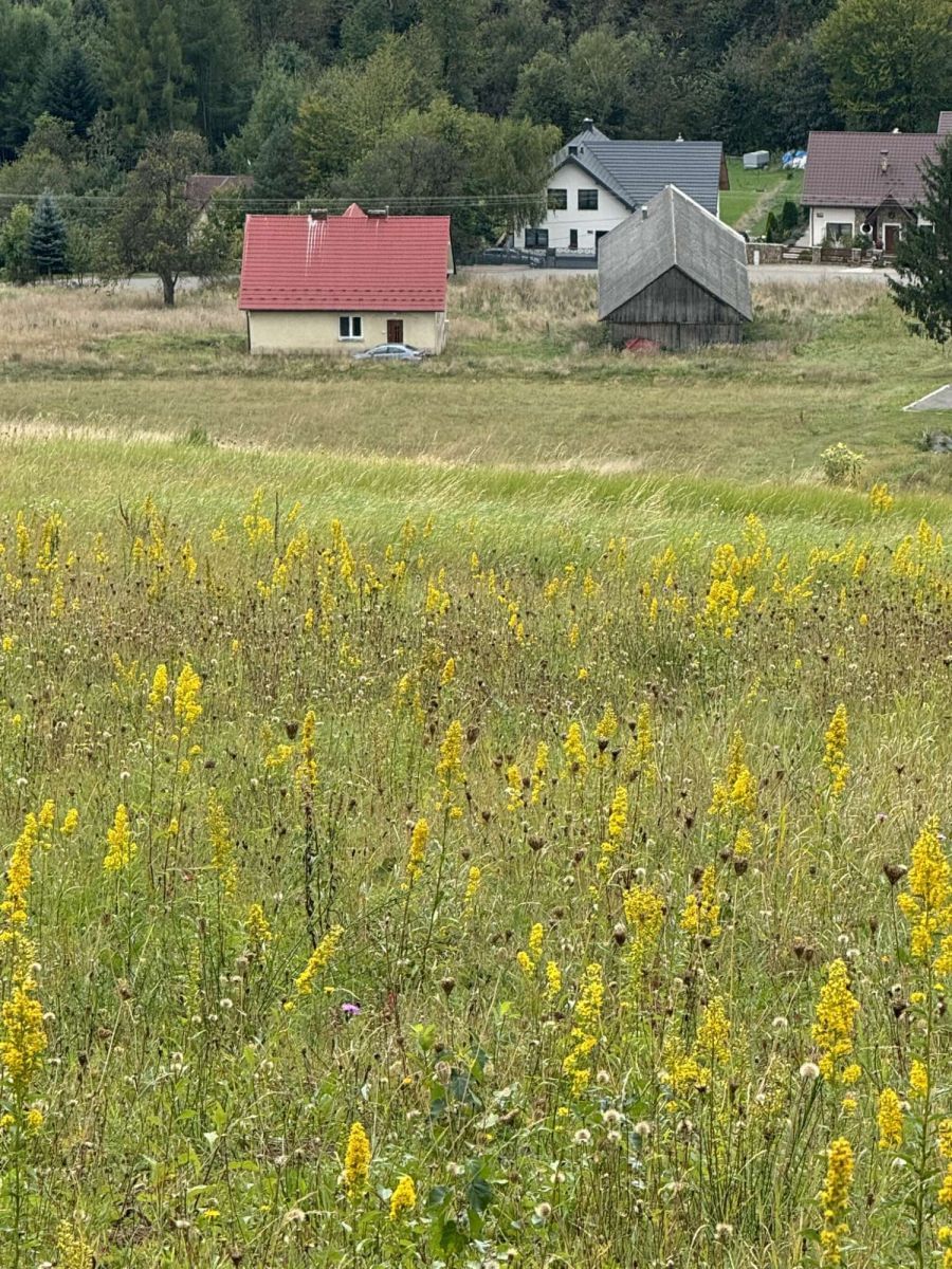 Działka  pokojowe na Sprzedaż