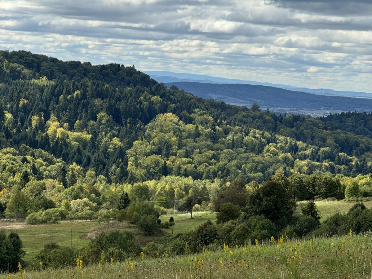 Działka  pokojowe na Sprzedaż