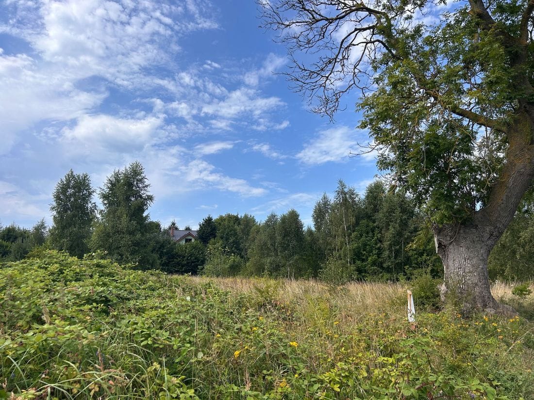 Działka  pokojowe na Sprzedaż