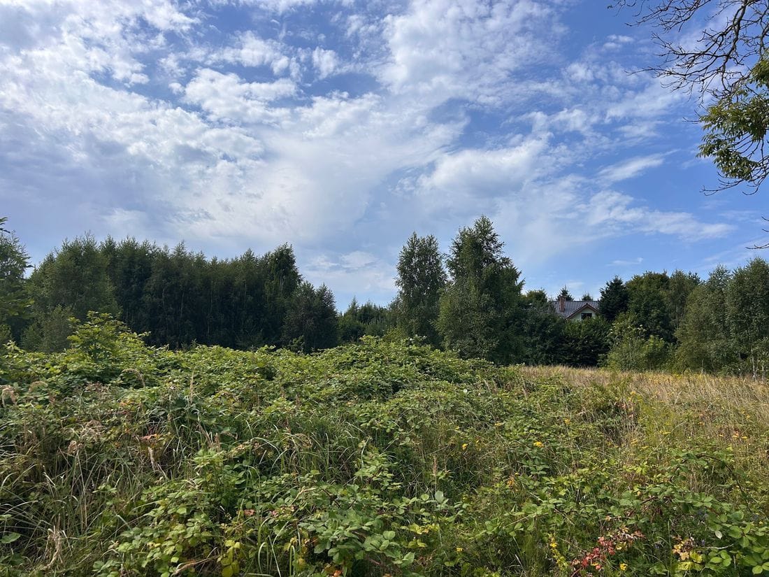 Działka  pokojowe na Sprzedaż