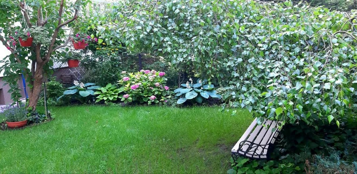 Mieszkanie 2 pokojowe na Wynajem