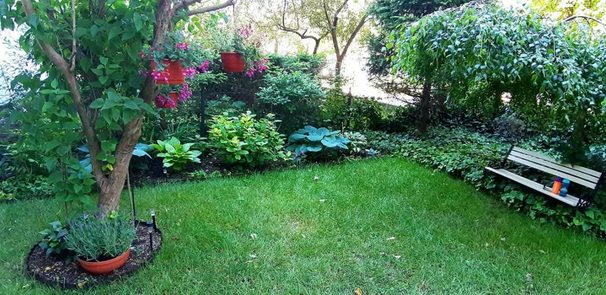 Mieszkanie 2 pokojowe na Wynajem