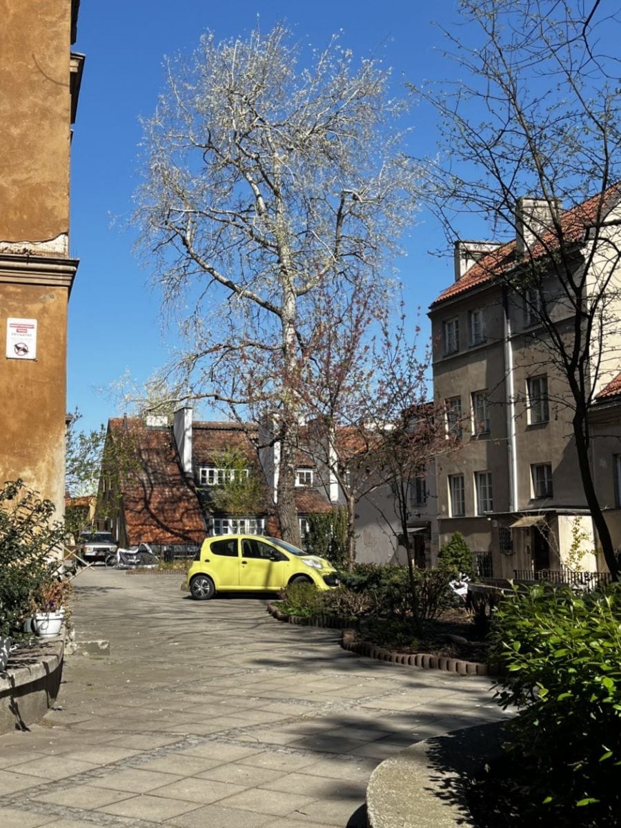 Mieszkanie 2 pokojowe na Wynajem