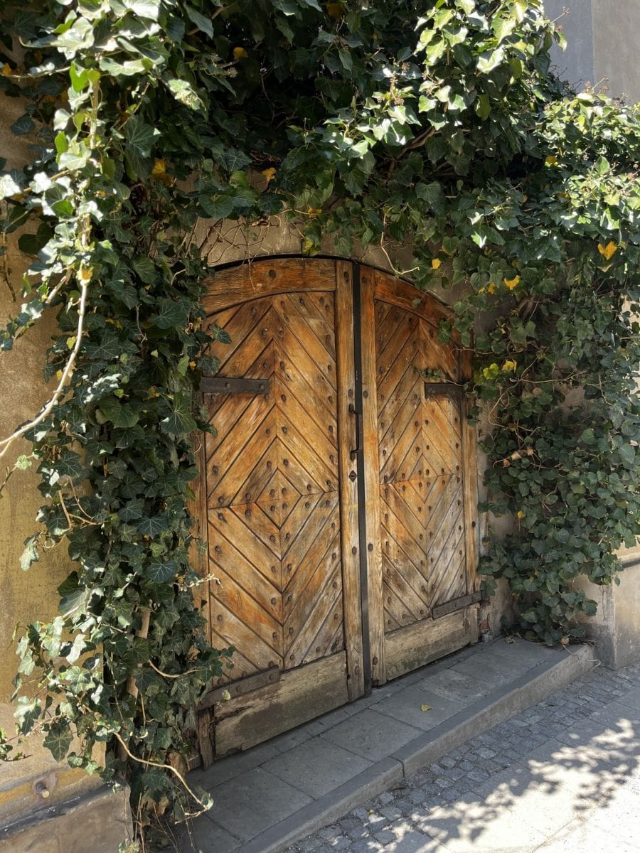 Mieszkanie 2 pokojowe na Wynajem