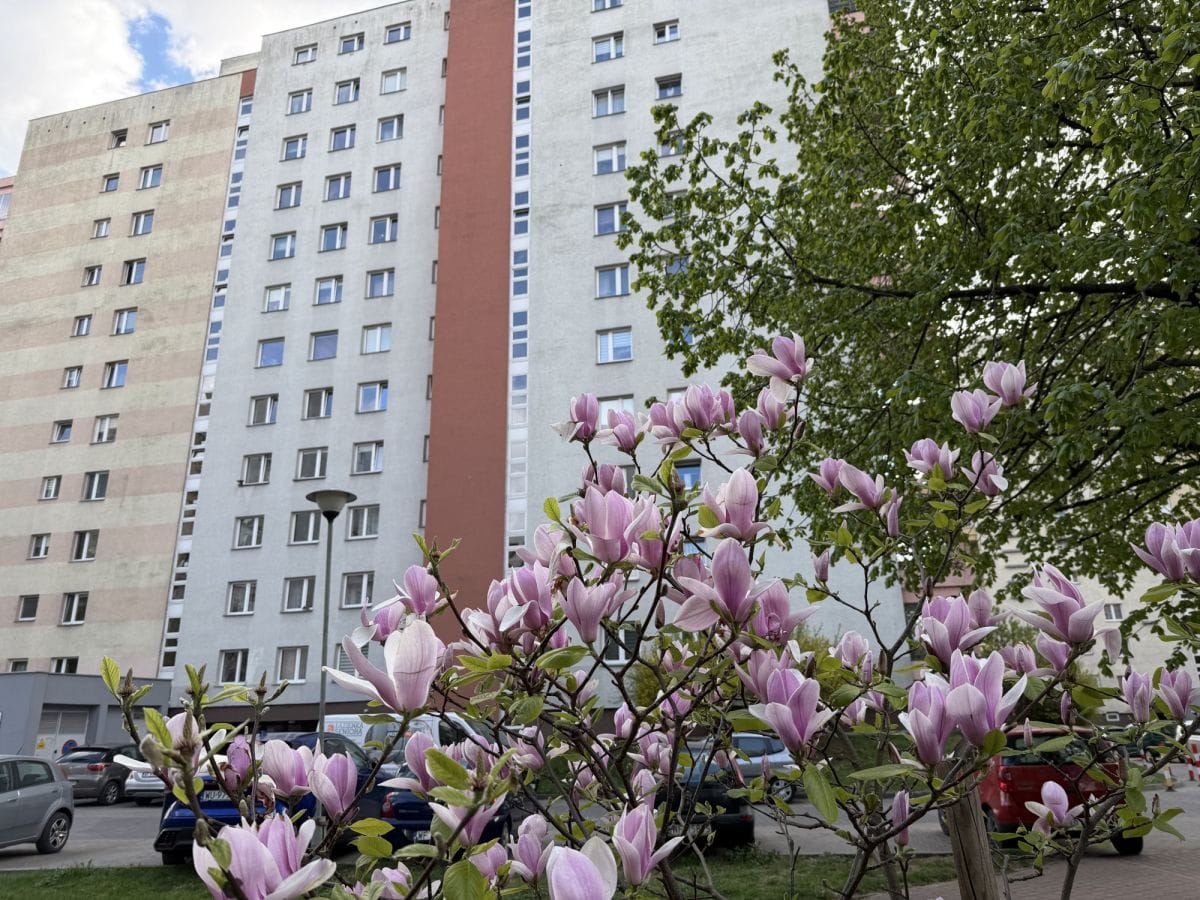 Mieszkanie 2 pokojowe na Wynajem