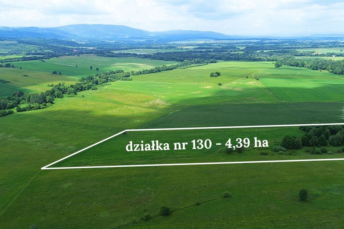 Działka  pokojowe na Sprzedaż