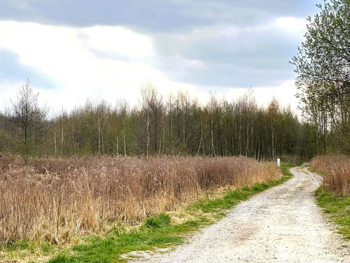 Mieszkanie 1 pokojowe na Sprzedaż