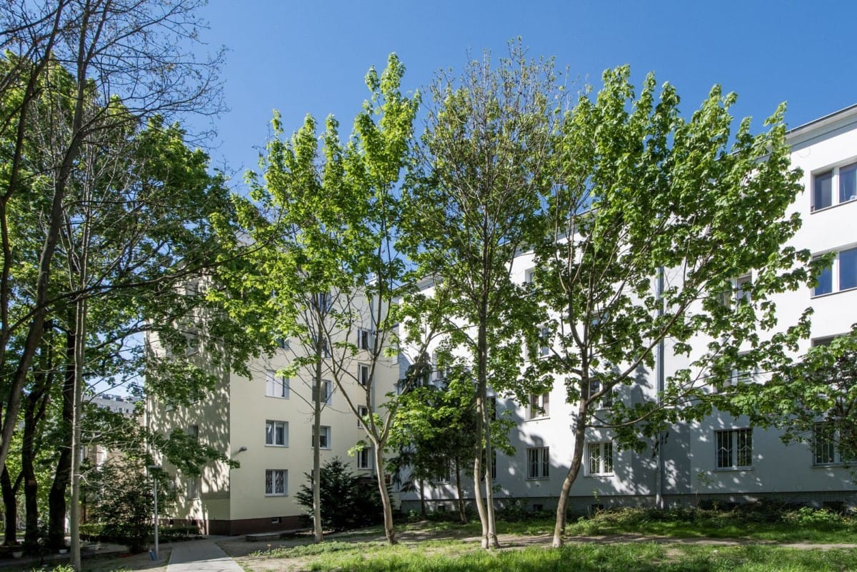 Mieszkanie 3 pokojowe na Sprzedaż