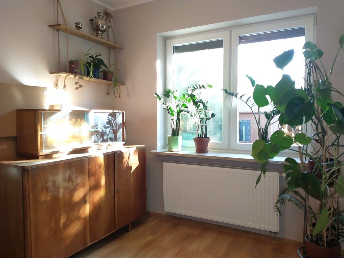 Dom 5 pokojowe na Sprzedaż