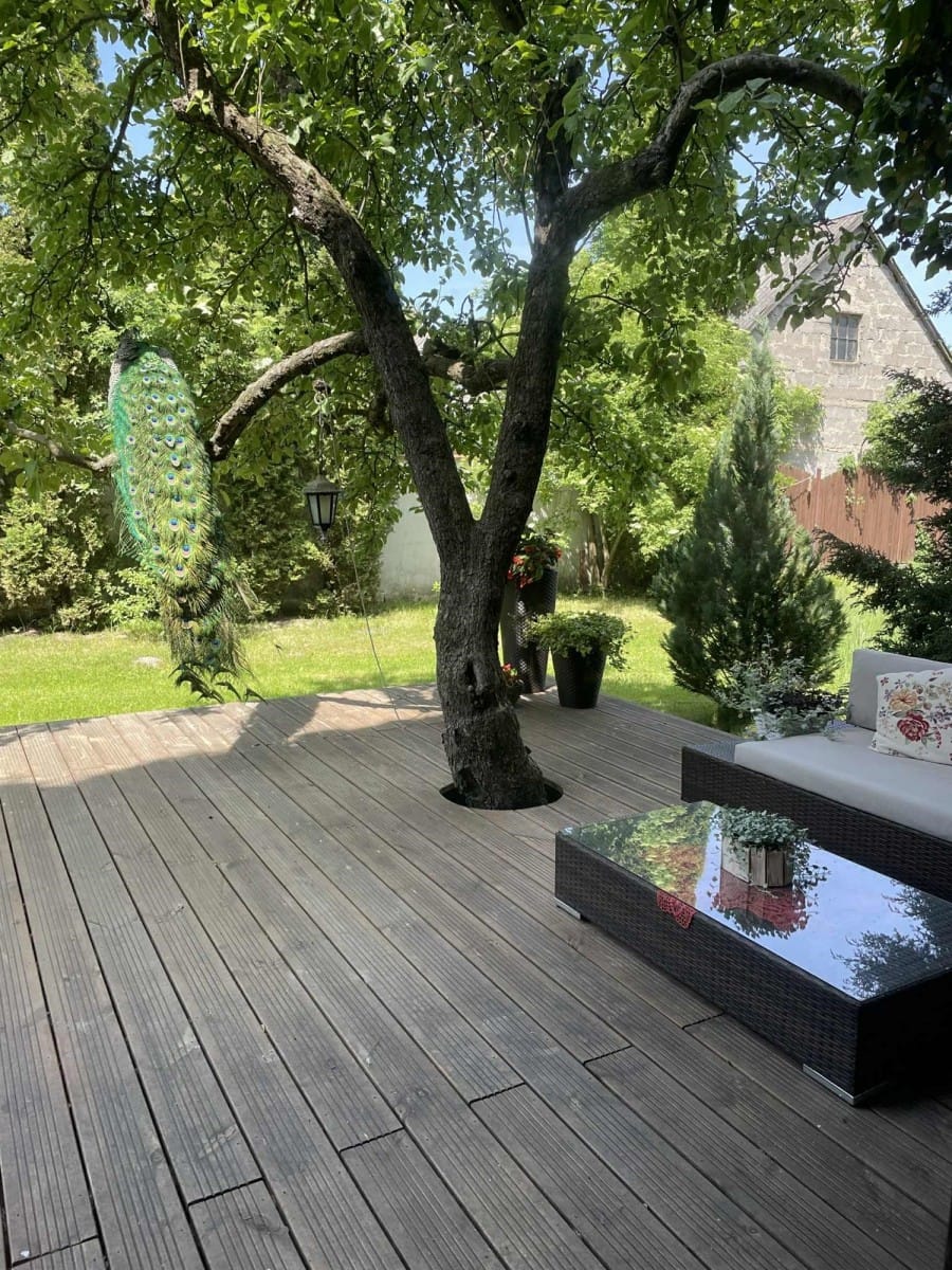 Dom 5 pokojowe na Sprzedaż