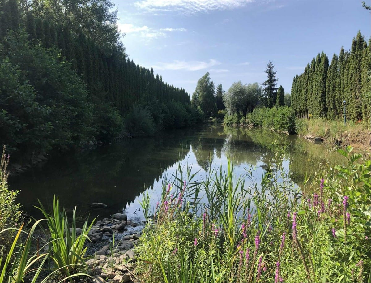 Dom 5 pokojowe na Sprzedaż