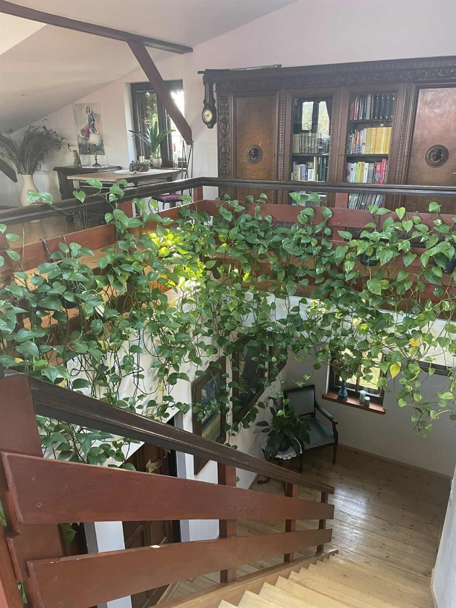 Dom 5 pokojowe na Sprzedaż