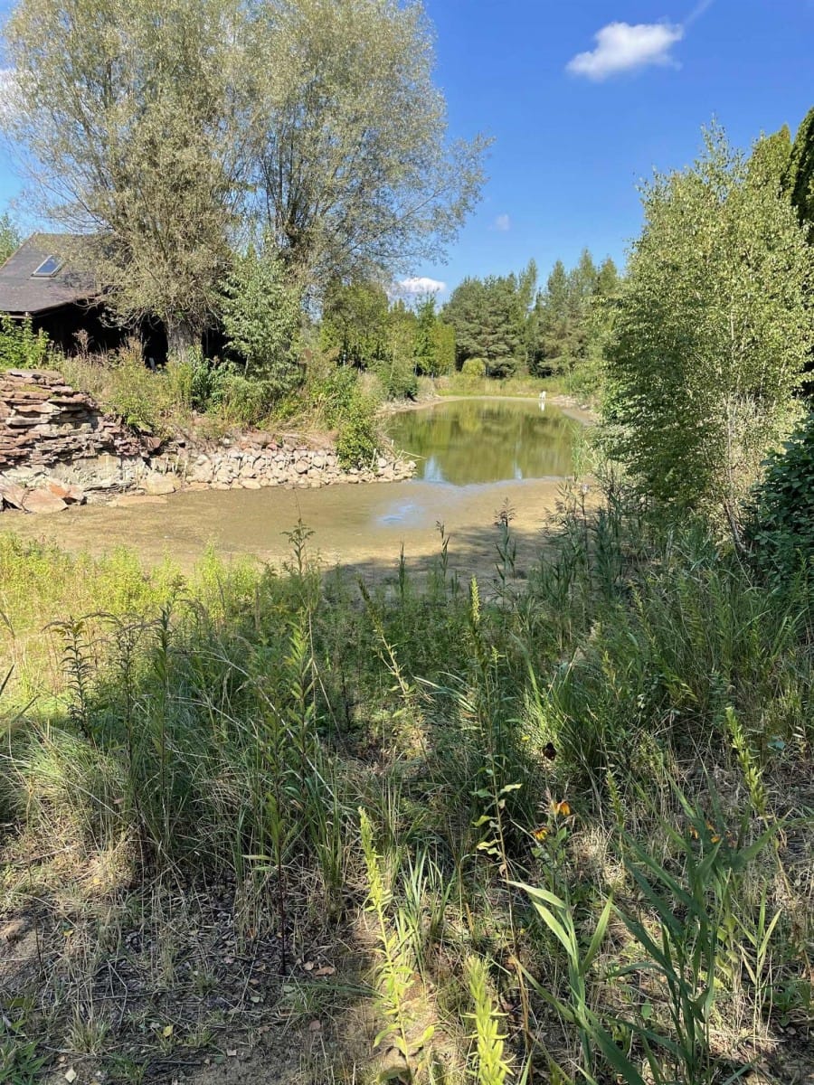 Dom 5 pokojowe na Sprzedaż