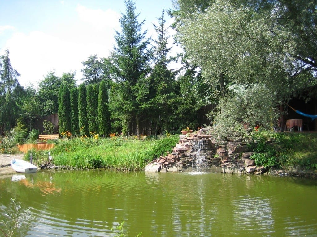 Dom 5 pokojowe na Sprzedaż