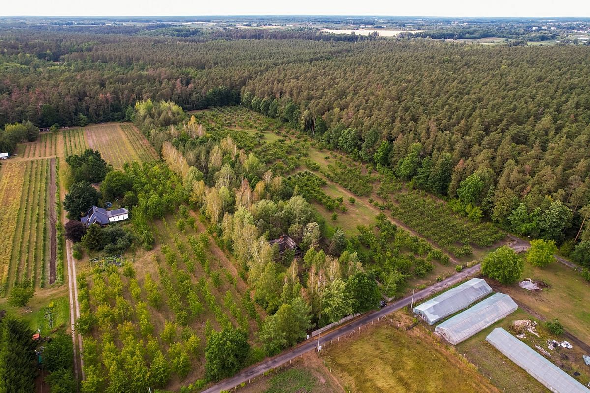 Działka  pokojowe na Sprzedaż