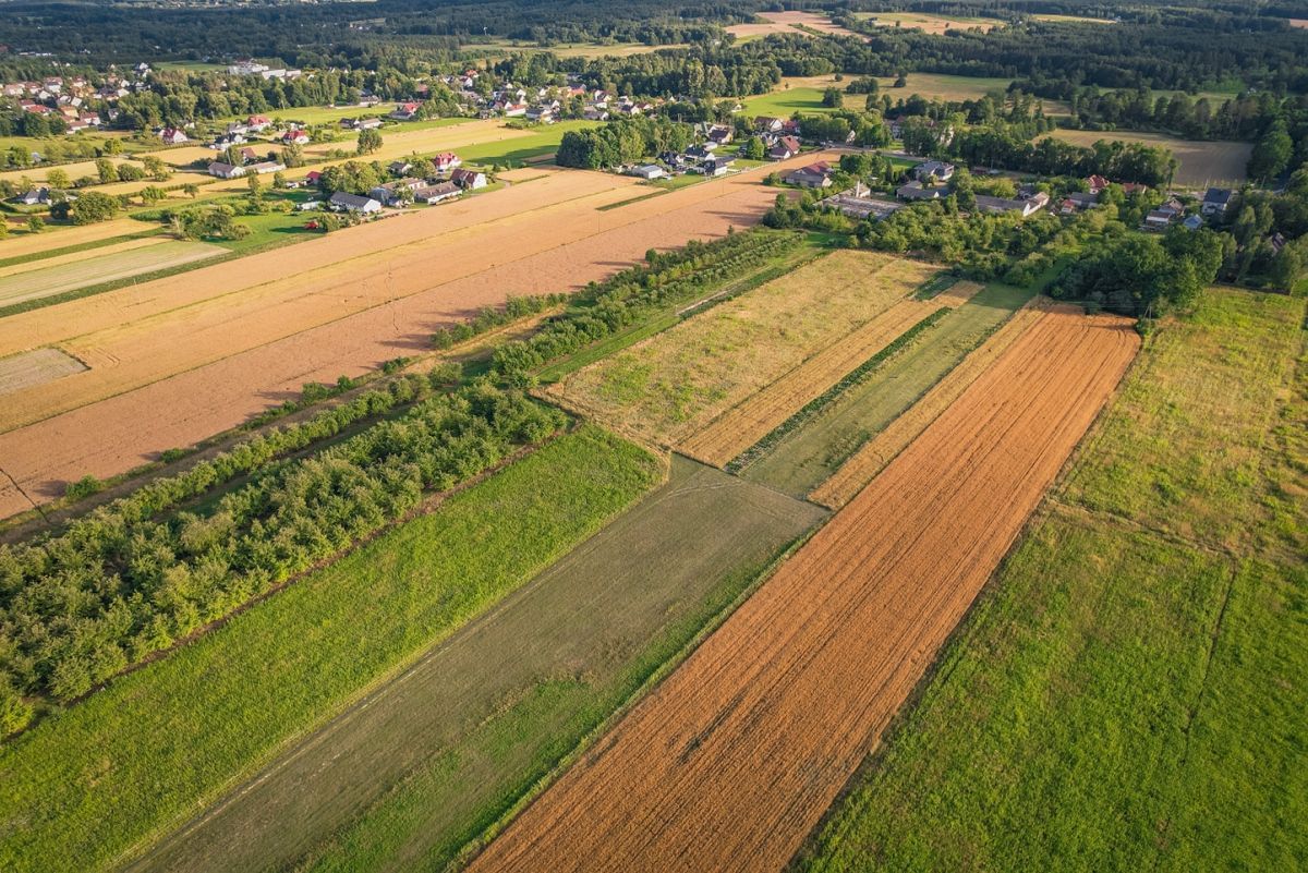 Dom 3 pokojowe na Sprzedaż