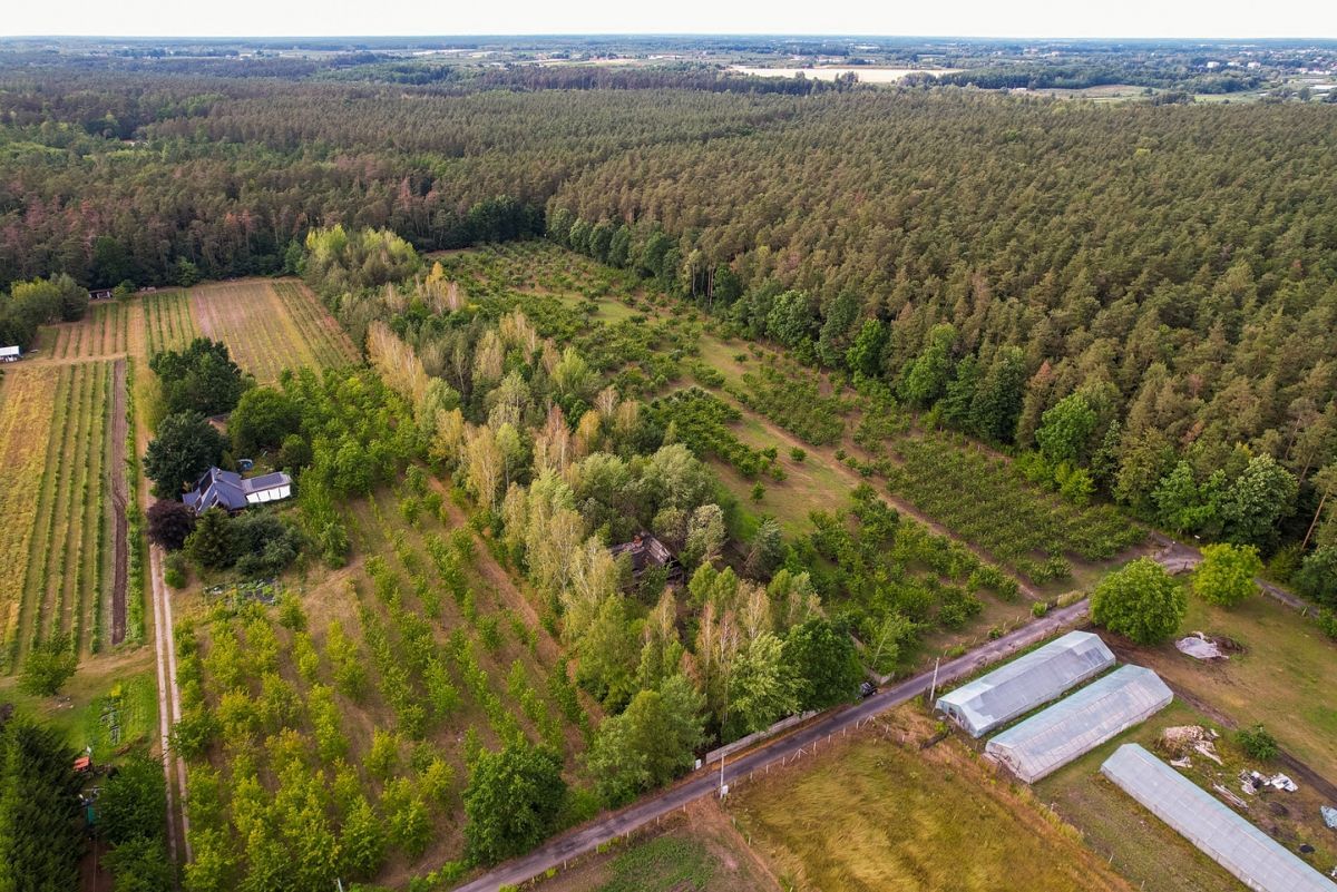 Działka  pokojowe na Sprzedaż