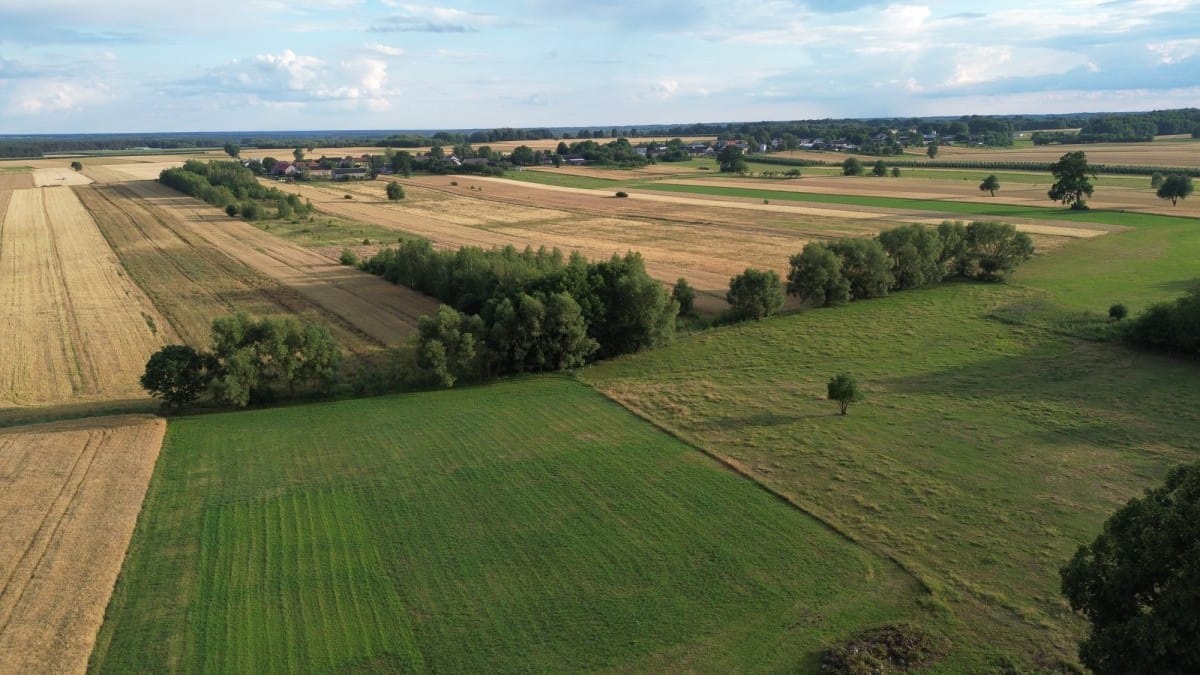 Działka  pokojowe na Sprzedaż