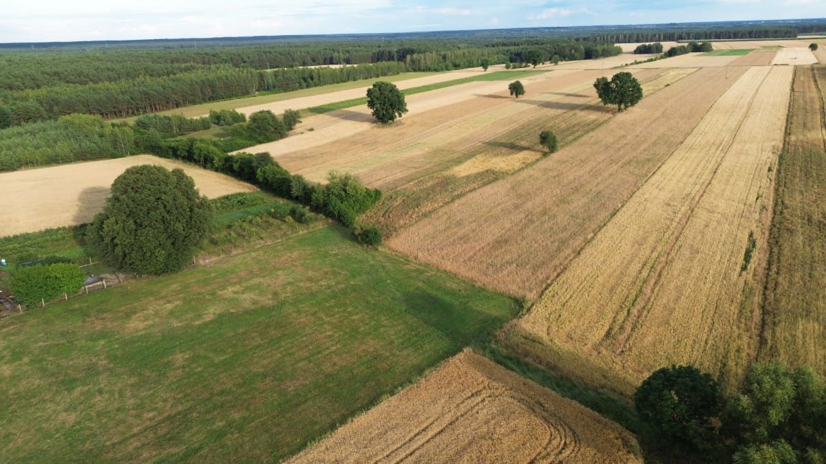 Działka  pokojowe na Sprzedaż