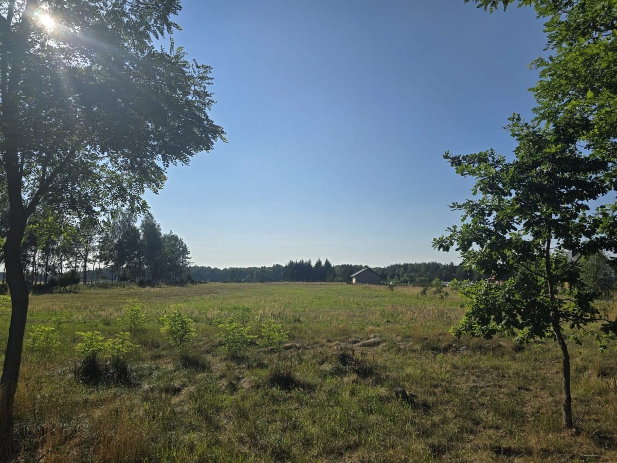 Działka  pokojowe na Sprzedaż