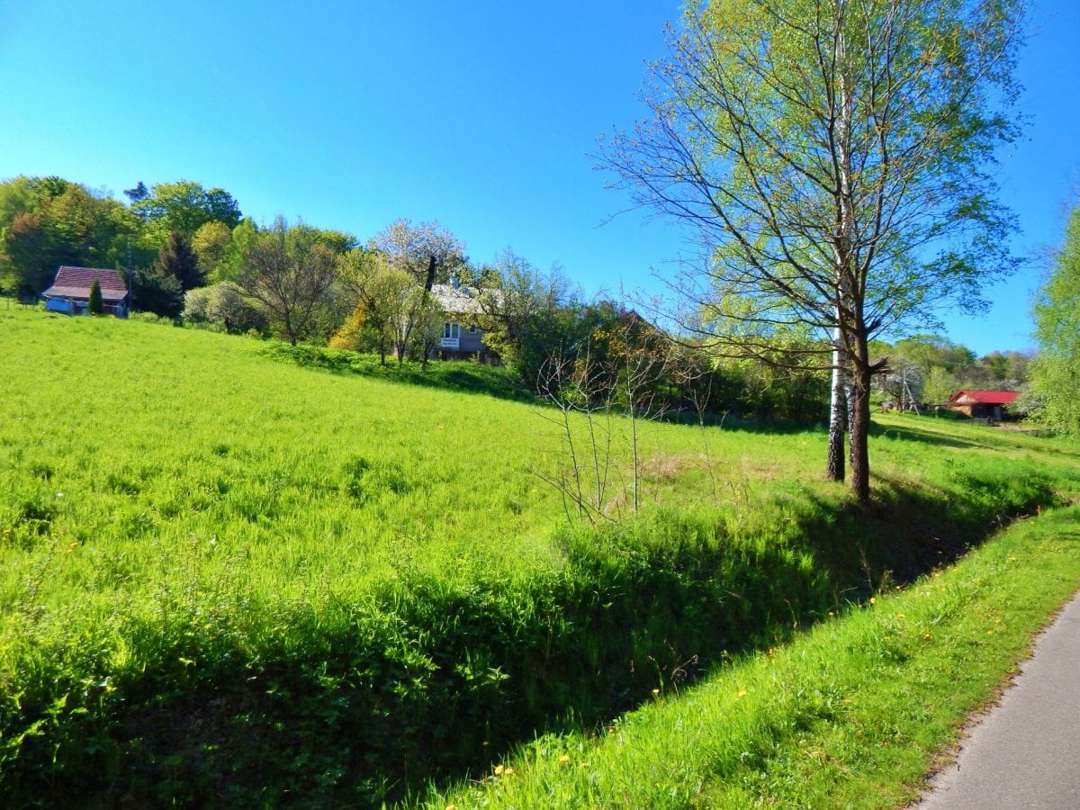 Dom 4 pokojowe na Sprzedaż