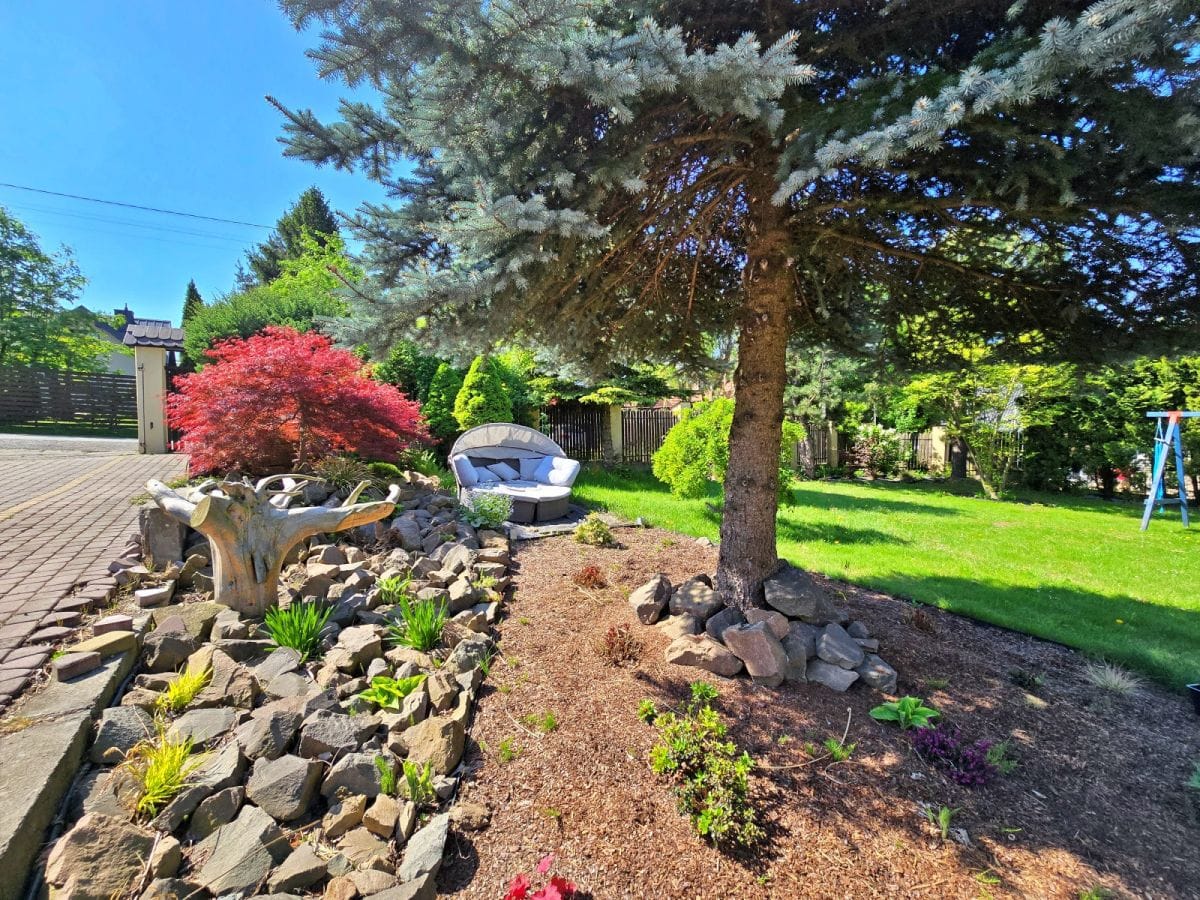 Dom 6 pokojowe na Sprzedaż