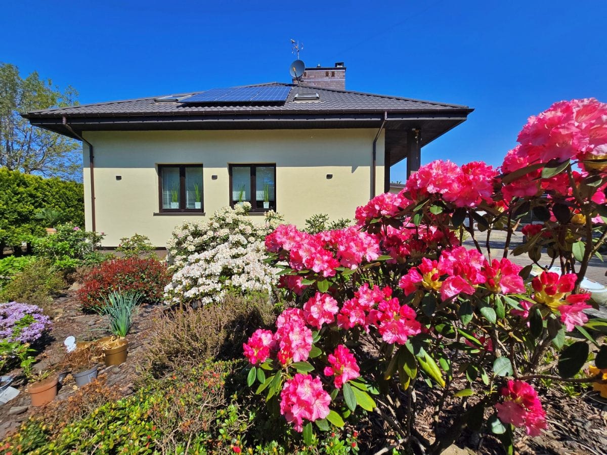 Dom 6 pokojowe na Sprzedaż