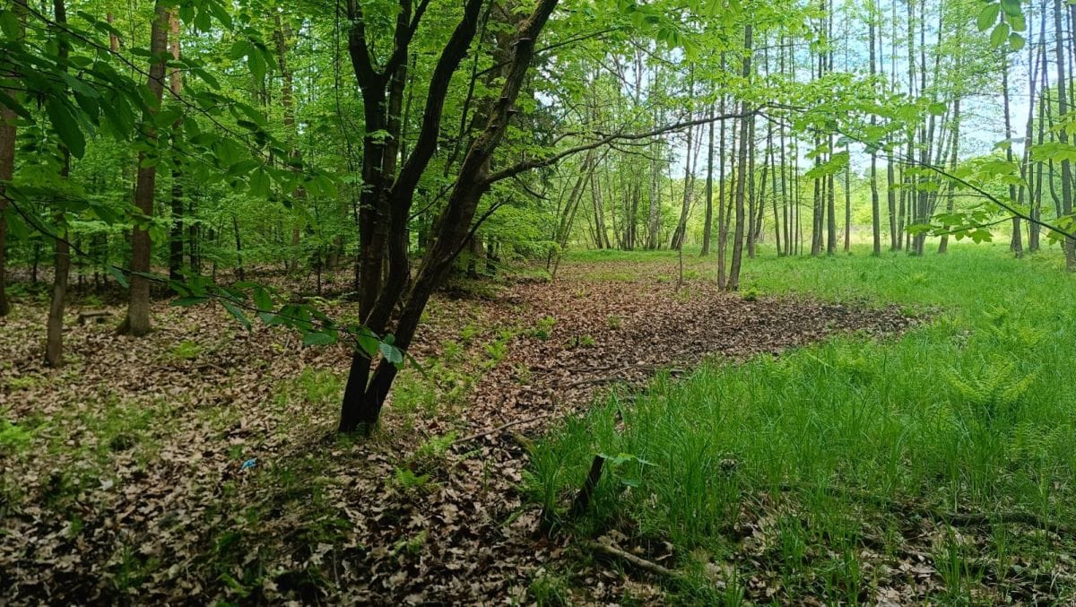 Działka  pokojowe na Sprzedaż