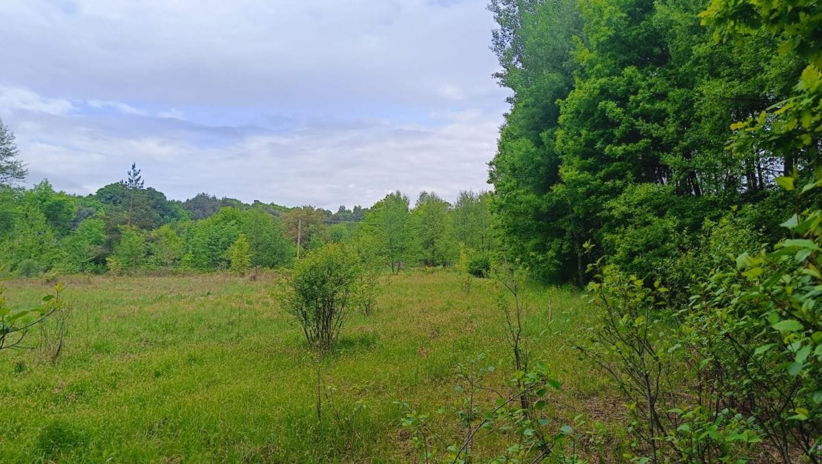 Działka  pokojowe na Sprzedaż