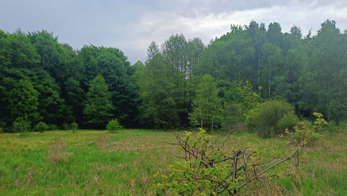 Działka  pokojowe na Sprzedaż