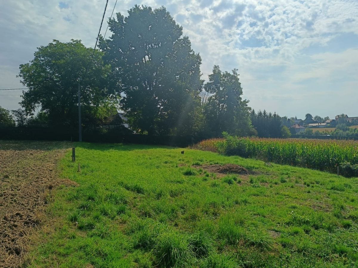 Działka  pokojowe na Sprzedaż