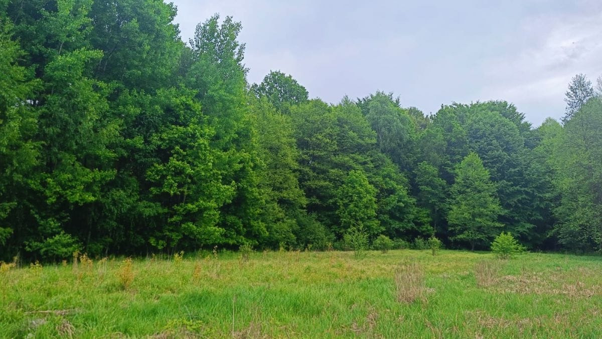 Działka  pokojowe na Sprzedaż