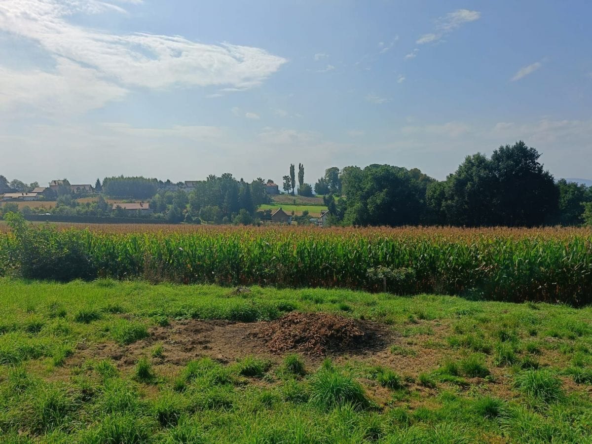 Działka  pokojowe na Sprzedaż