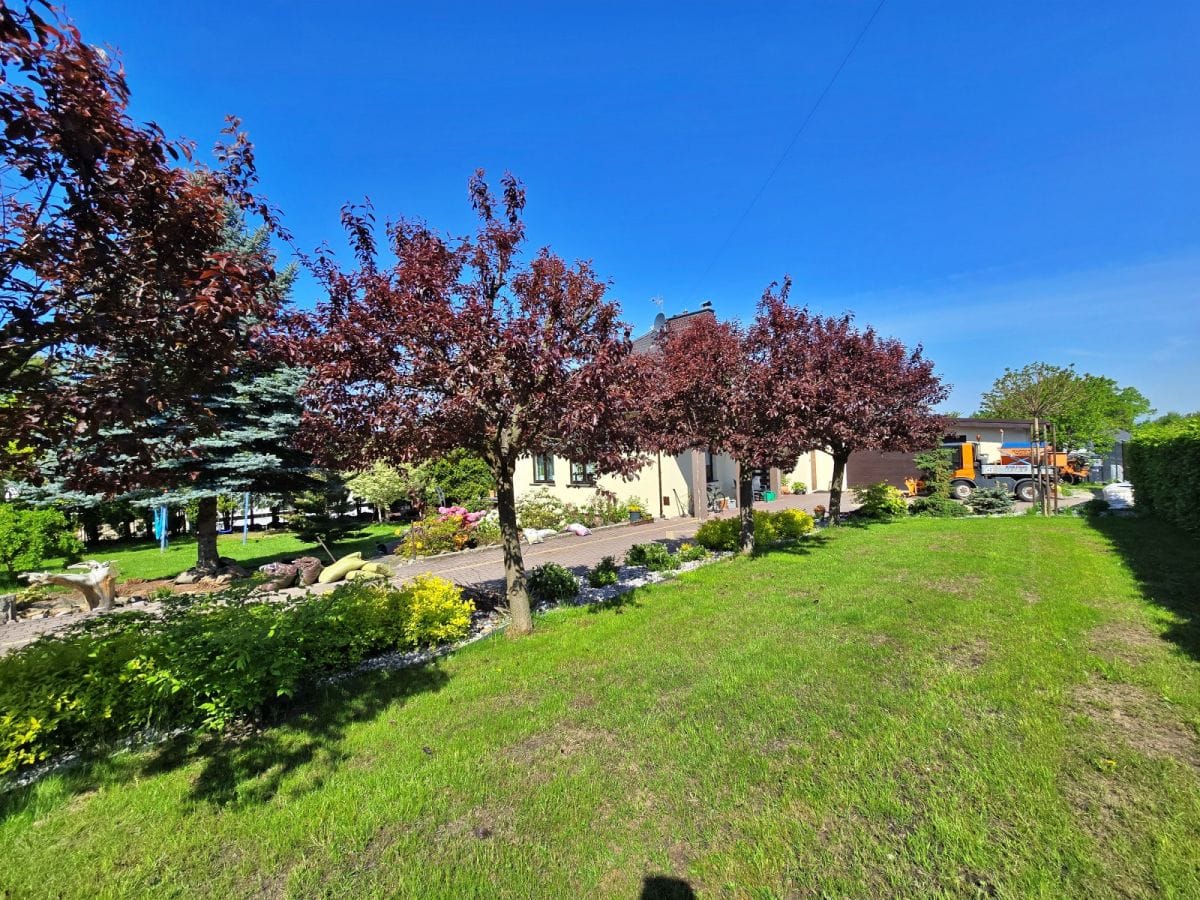 Dom 6 pokojowe na Sprzedaż