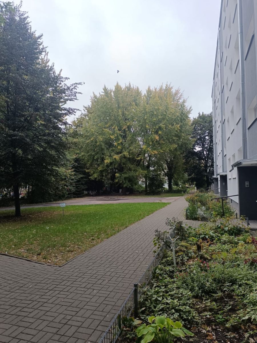Mieszkanie 2 pokojowe na Wynajem