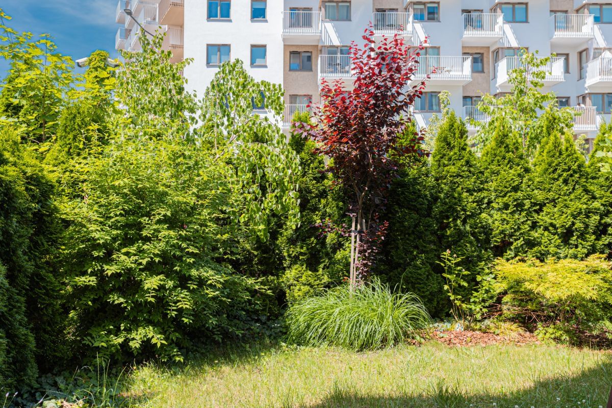 Mieszkanie 3 pokojowe na Wynajem