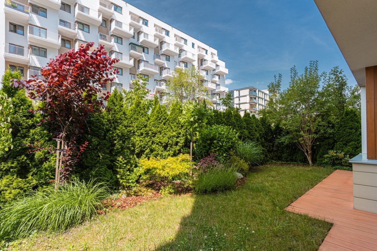 Mieszkanie 3 pokojowe na Wynajem