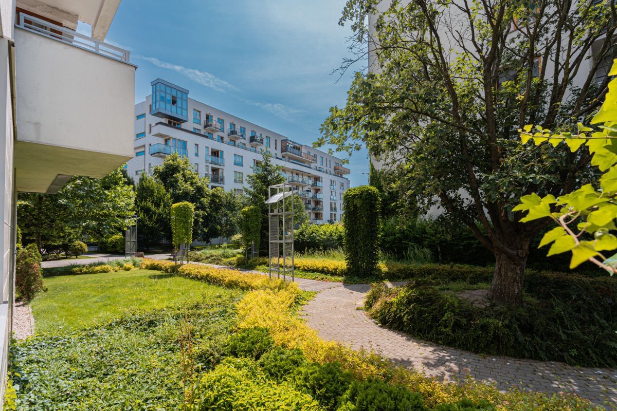 Mieszkanie 3 pokojowe na Wynajem