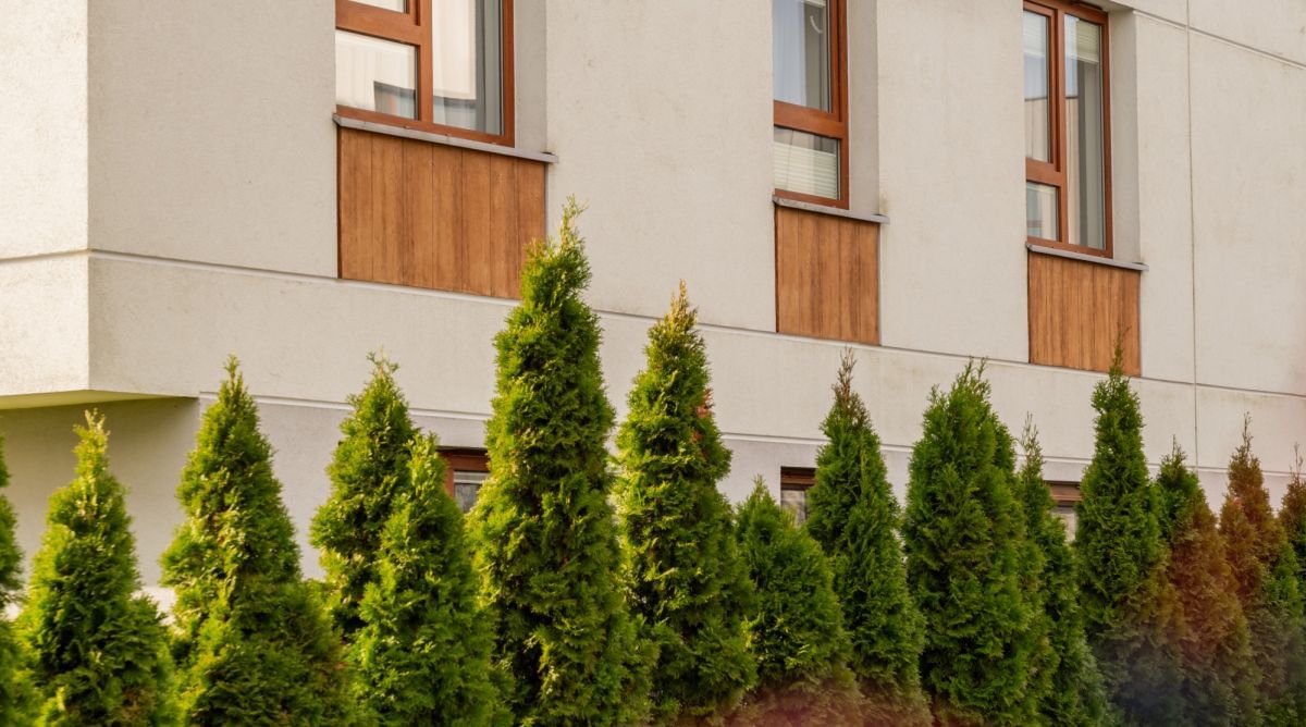 Mieszkanie 4 pokojowe na Sprzedaż