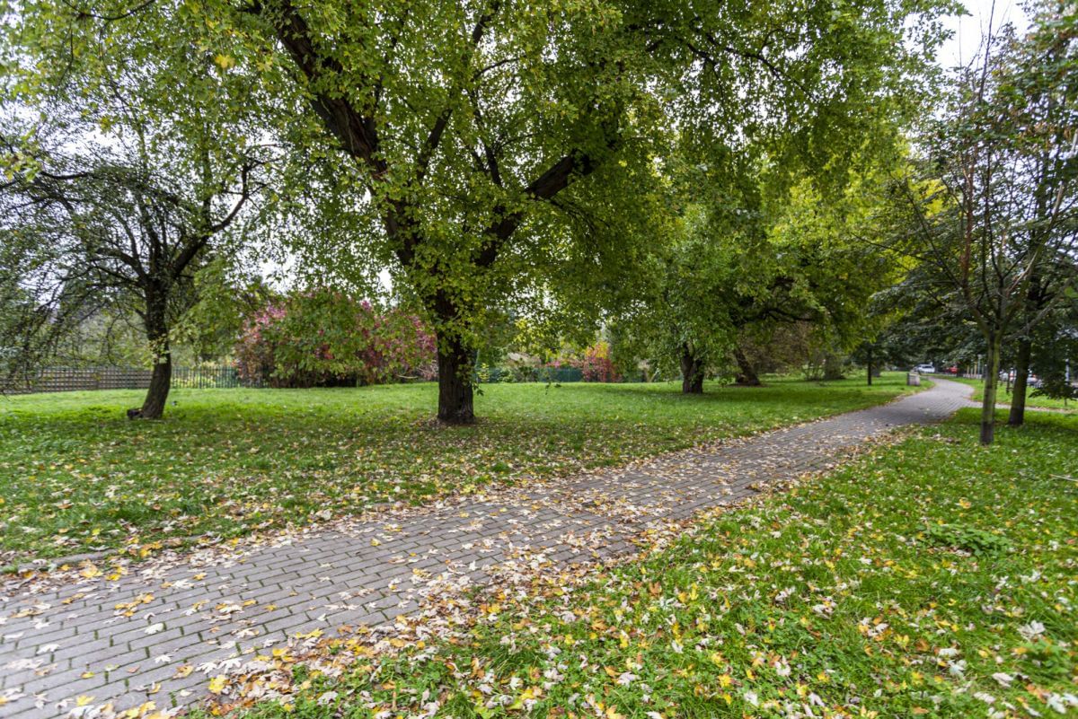 Dom 5 pokojowe na Wynajem