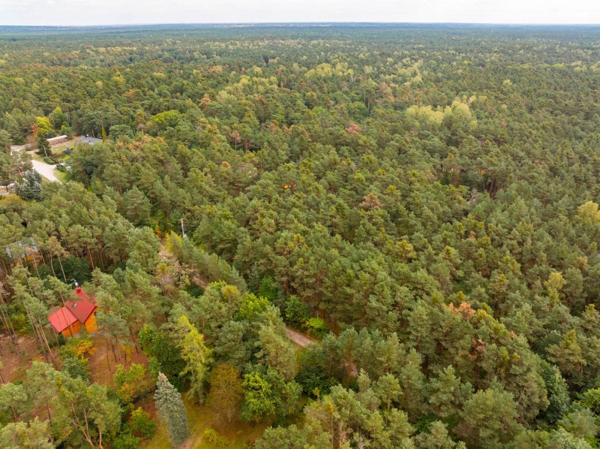 Działka  pokojowe na Sprzedaż