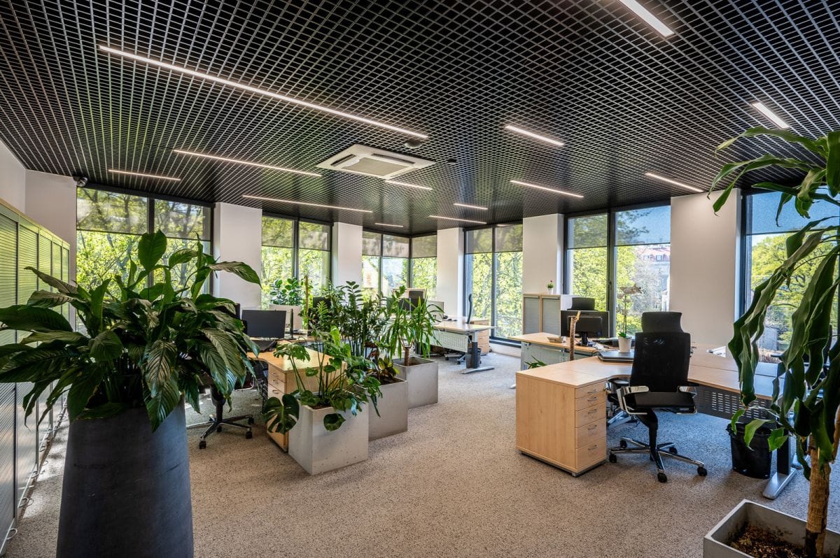 Lokal użytkowy  pokojowe na Sprzedaż