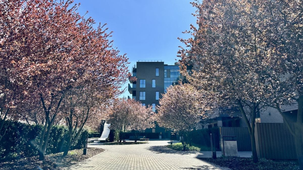 Mieszkanie 5 pokojowe na Sprzedaż