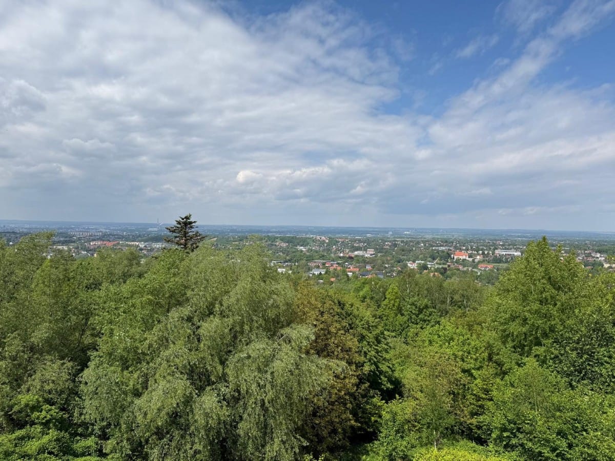 Dom 6 pokojowe na Sprzedaż