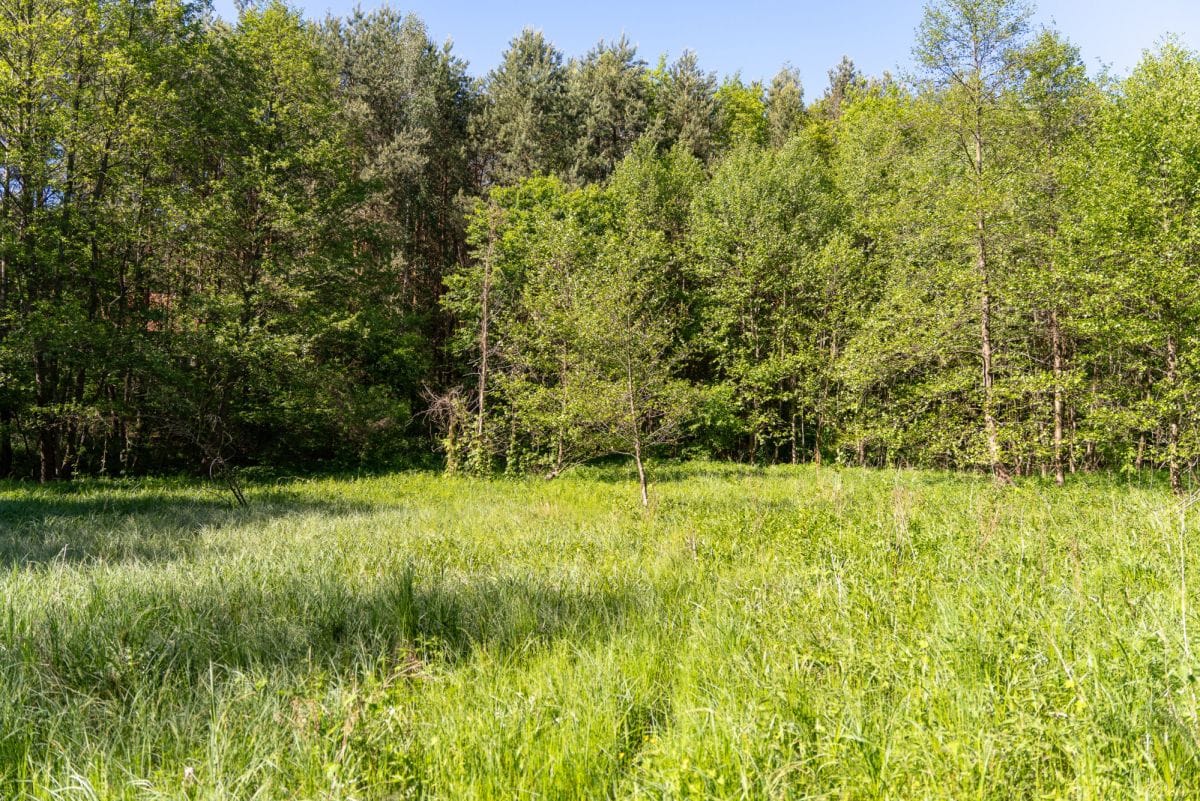 Dom 5 pokojowe na Sprzedaż