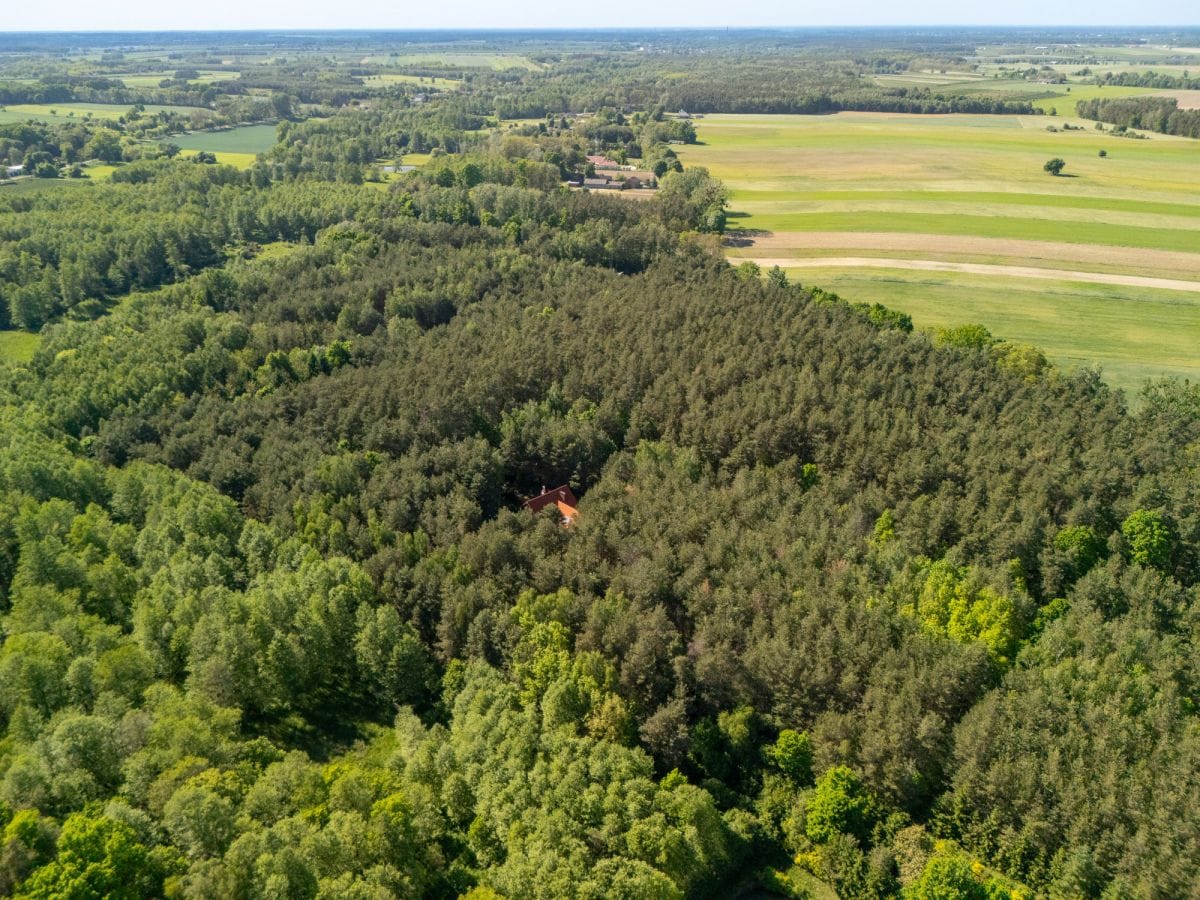 Dom 5 pokojowe na Sprzedaż