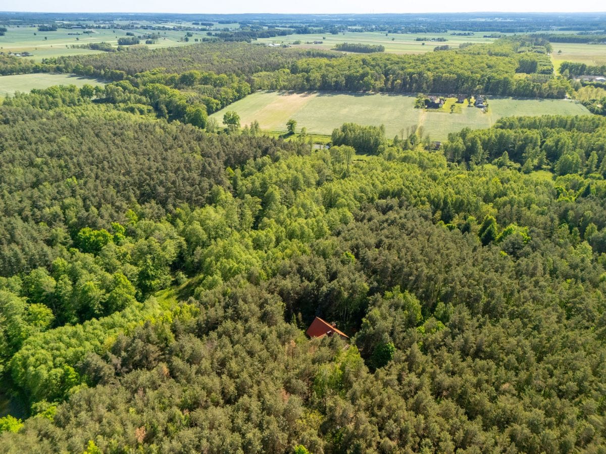 Dom 5 pokojowe na Sprzedaż
